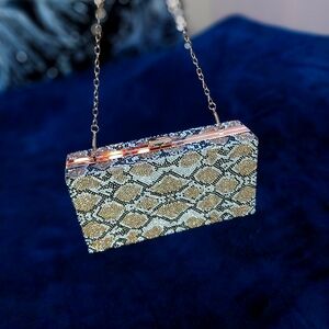 NWT✨️ Luxury Gold Snakde print crystal clutch